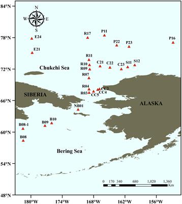 Community structure and association network of prokaryotic community in surface sediments from the Bering-Chukchi shelf and adjacent sea areas